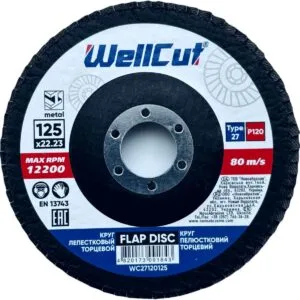 WellCut 27 Fächerscheibe 125x22,23 mm, P120