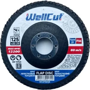 WellCut 27 Fächerscheibe 125x22,23 mm, P36