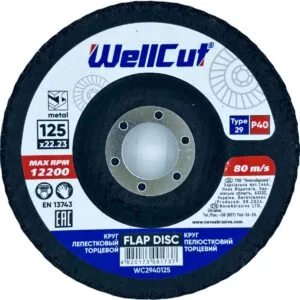 WellCut 29 Fächerscheibe 125x22,23 mm, P40