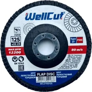 WellCut 27 Fächerscheibe 125x22,23 mm, P100