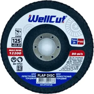 WellCut 29 Fächerscheibe 125x22,23 mm, P100