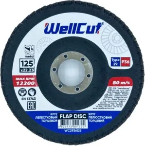 WellCut 29 Fächerscheibe 125x22,23 mm, P36