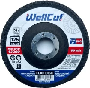 WellCut 27 Fächerscheibe 125x22,23 mm, P80